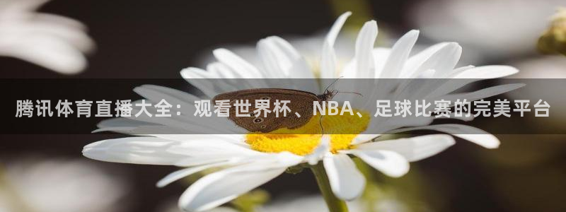 斗球在线直播下载：腾讯体育直播大全：观看世界杯、NBA、足球比赛的完美平台