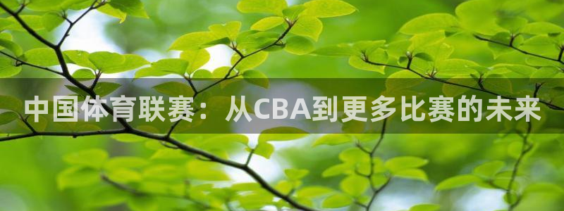 斗球在线直播下载：中国体育联赛：从CBA到更多比赛的未来