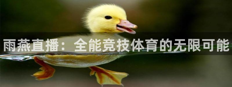 斗球app下载：雨燕直播：全能竞技体育的无限可能