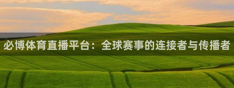 斗球直播免费观看入口：必博体育直播平台：全球赛事的连接者与传播者