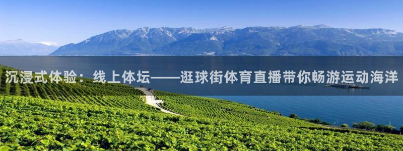 斗球体育直播app下载官网最新版：沉浸式体验：线上体坛——逛球街体育直播带你畅游运动海洋