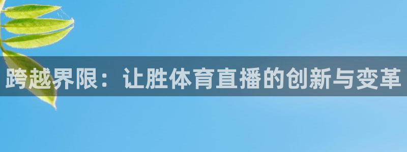 斗球nba直播在线观看免费：跨越界限：让胜体育直播的创新与变革