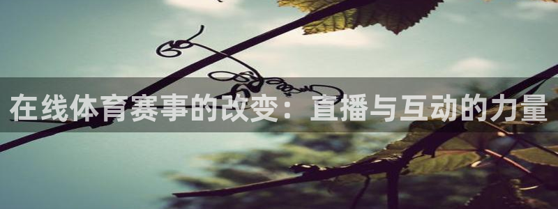 苹果斗球直播app下载：在线体育赛事的改变：直播与互动的力量