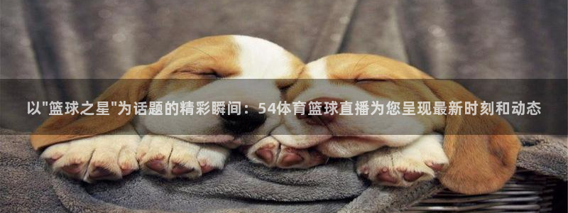 斗球直播下载官网入口：以\