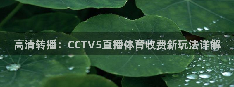 mb33tv斗球直播：高清转播：CCTV5直播体育收费新玩法详解
