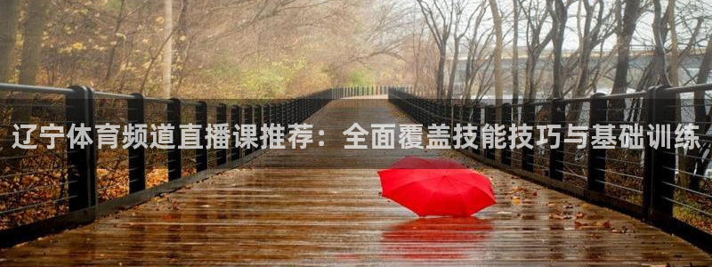斗球免费体育直播：辽宁体育频道直播课推荐：全面覆盖技能技巧与基础训练