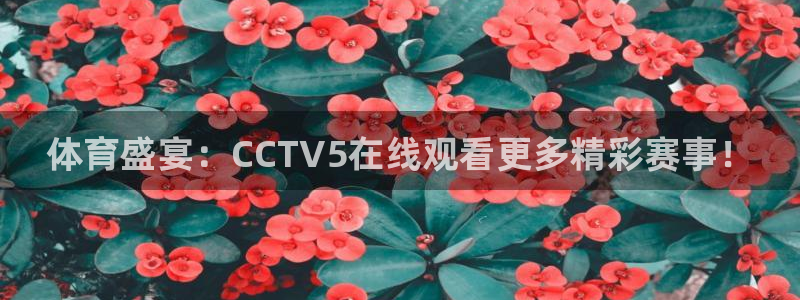 斗球直播官方网站入口：体育盛宴：CCTV5在线观看更多精彩赛事！