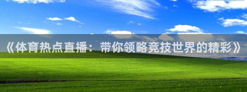 斗球app下载安卓：《体育热点直播：带你领略竞技世界的精彩》