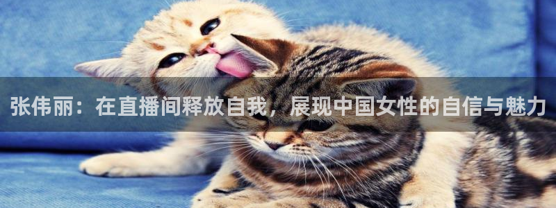 斗球app下载官网：张伟丽：在直播间释放自我，展现中国女性的自信与魅力