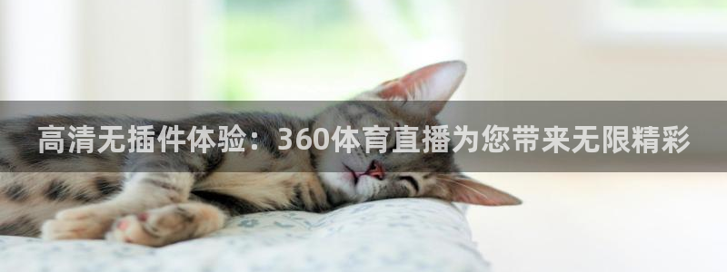 斗球直播app最新版本：高清无插件体验：360体育直播为您带来无限精彩